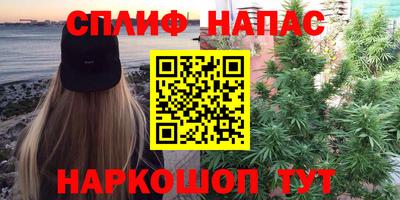 трава Славянск-на-Кубани
