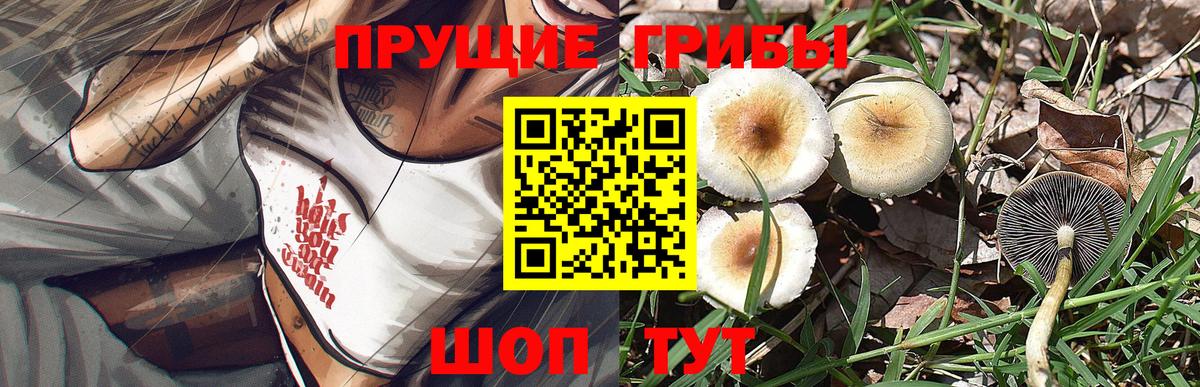 Галлюциногенные грибы мухоморы  что такое наркотик  Новодвинск  Вход с VPN  Галлюциногенные грибы прущие грибы 